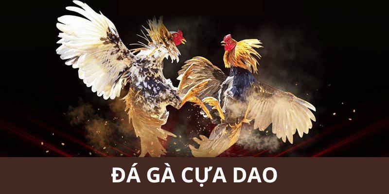 Trải Nghiệm Đá Gà Cựa Dao Cực Đã Tại Sảnh Nhà Cái ABC8