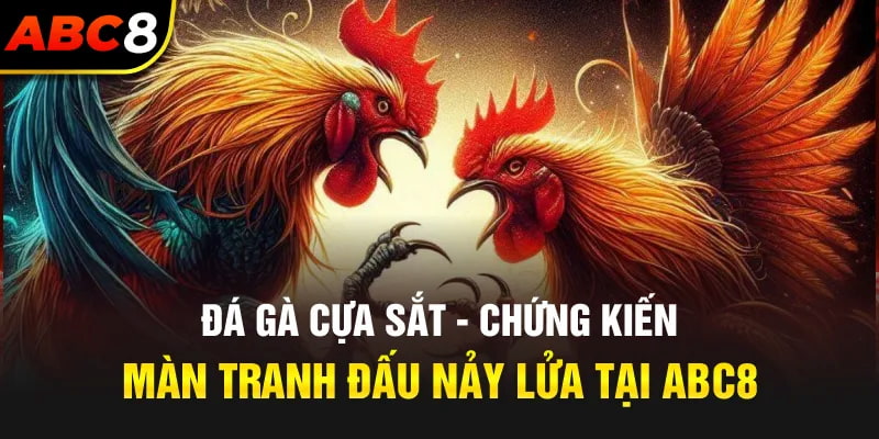 Khái quát về bộ môn đá gà cựa sắt tại ABC8