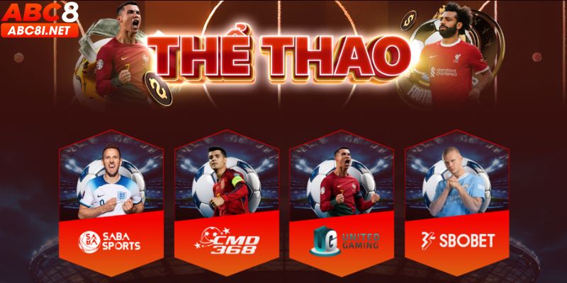 Sảnh cược thể thao đầy cuốn hút - đừng bỏ lỡ