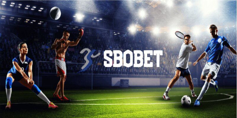 Sbobet Thể Thao - Địa Chỉ Bắt Kèo Lý Tưởng Cho Người Chơi